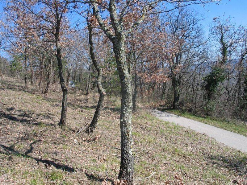 Građevinsko, Prodaja, Grožnjan, Grožnjan