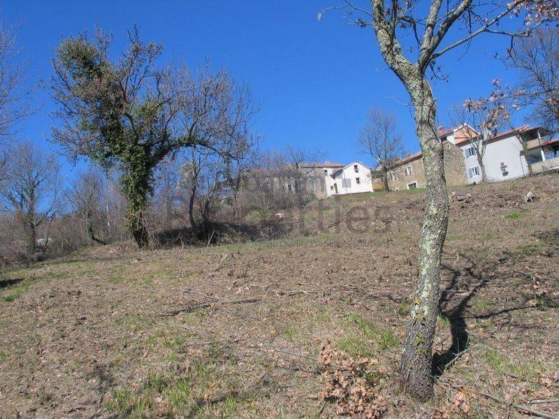 Građevinsko, Prodaja, Grožnjan, Grožnjan