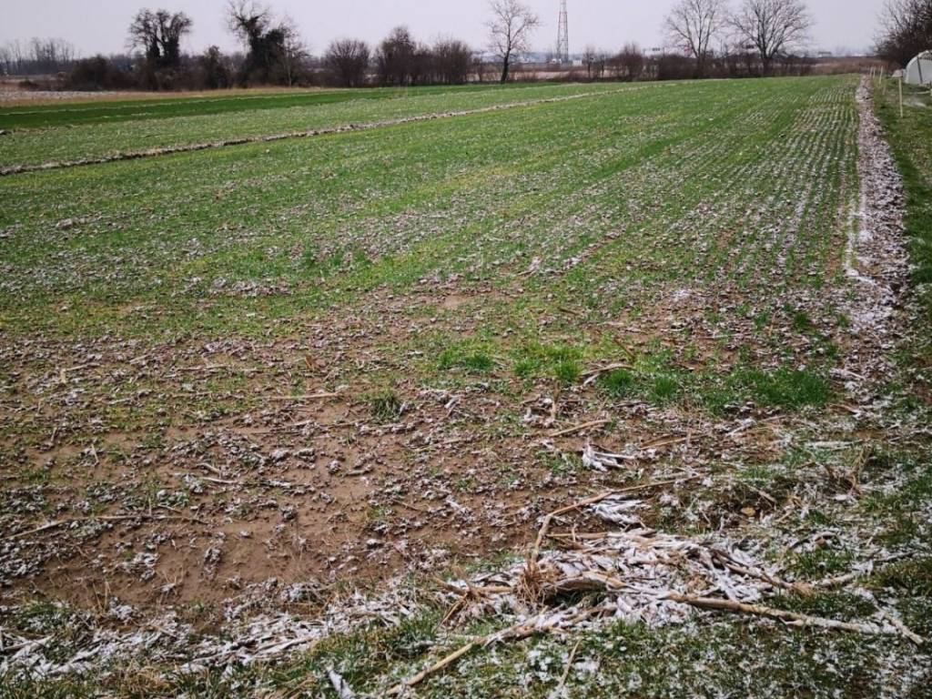 Poljoprivredno zemljište, Prodaja, Velika Gorica - Okolica, Velika Kosnica