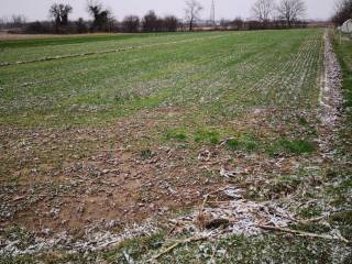 Poljoprivredno zemljište, Prodaja, Velika Gorica - Okolica, Velika Kosnica