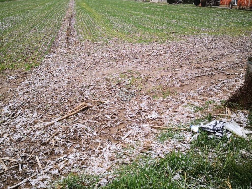 Poljoprivredno zemljište, Prodaja, Velika Gorica - Okolica, Velika Kosnica