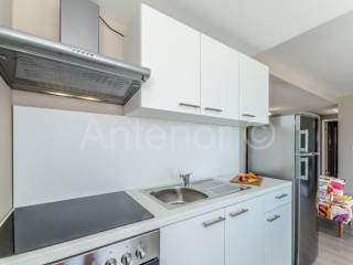 Apartman, Prodaja, Povljana, Povljana