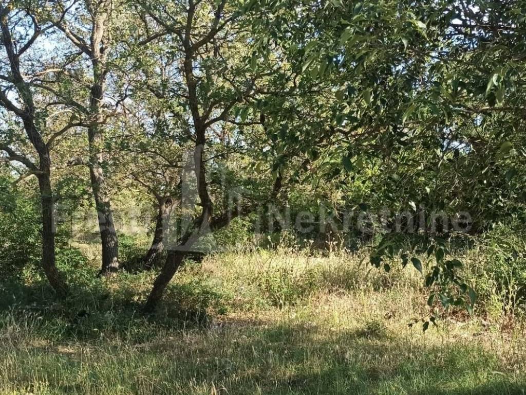 Građevinsko zemljište, Prodaja, Poličnik, Briševo