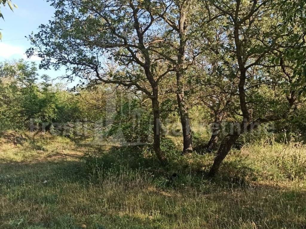 Građevinsko zemljište, Prodaja, Poličnik, Briševo