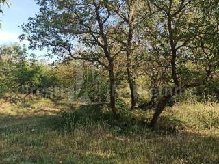 Građevinsko zemljište, Prodaja, Poličnik, Briševo