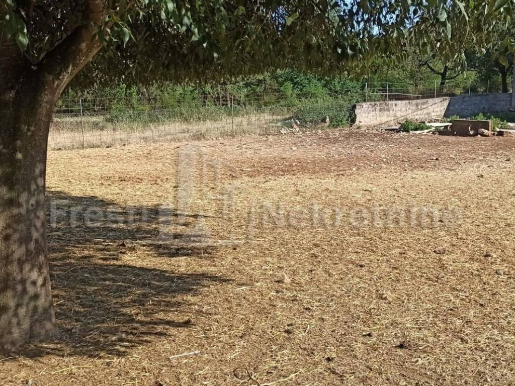 Građevinsko zemljište, Prodaja, Poličnik, Briševo