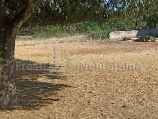 Građevinsko zemljište, Prodaja, Poličnik, Briševo