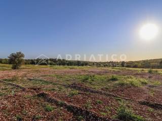 Poljoprivredno zemljište, Prodaja, Rovinj, Rovinj