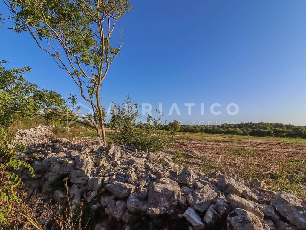 Poljoprivredno zemljište, Prodaja, Rovinj, Rovinj