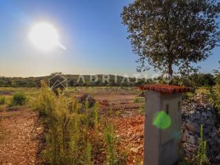 Poljoprivredno zemljište, Prodaja, Rovinj, Rovinj