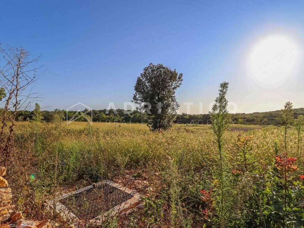 Poljoprivredno zemljište, Prodaja, Rovinj, Rovinj