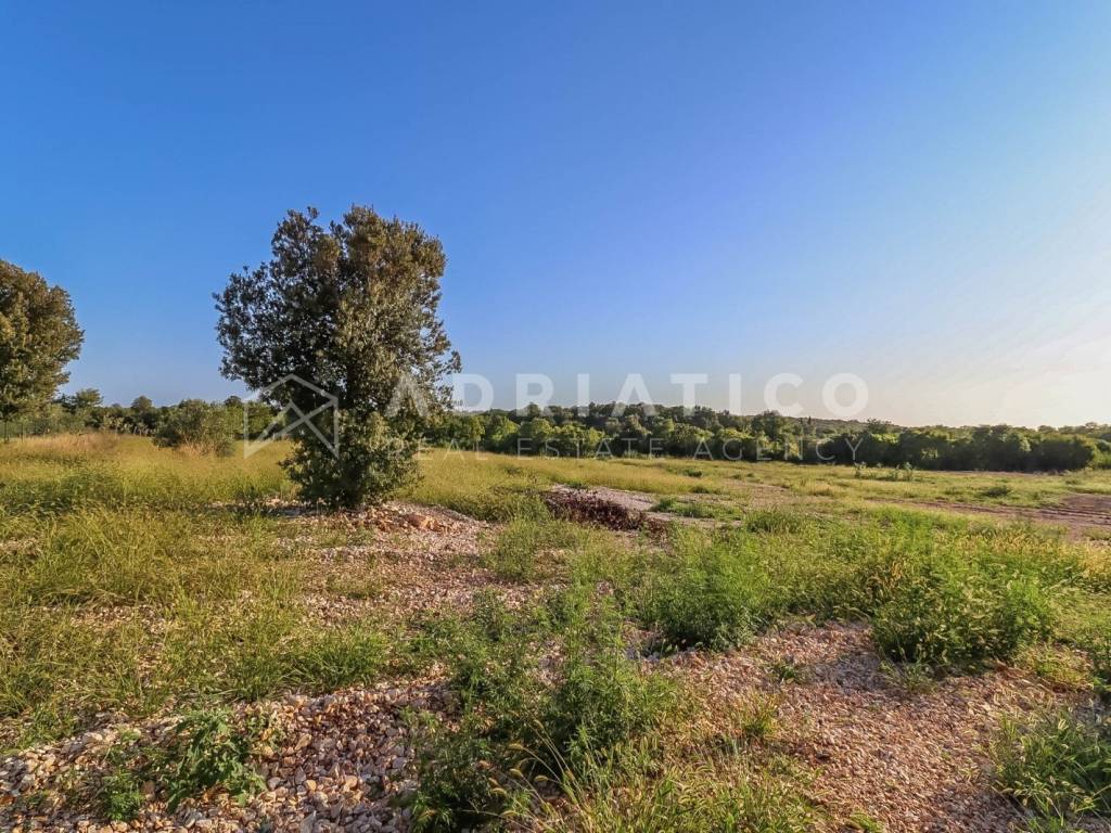 Poljoprivredno zemljište, Prodaja, Rovinj, Rovinj