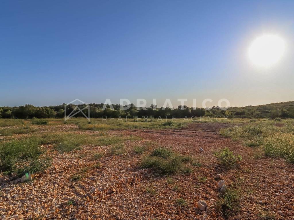 Poljoprivredno zemljište, Prodaja, Rovinj, Rovinj