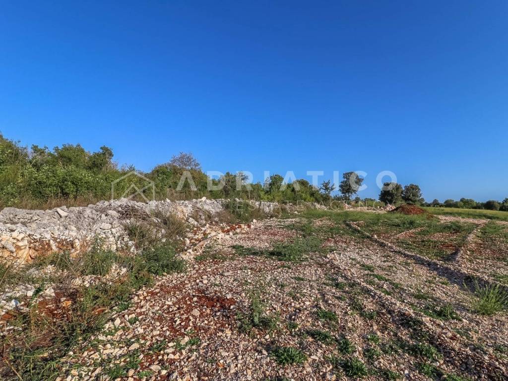 Poljoprivredno zemljište, Prodaja, Rovinj, Rovinj