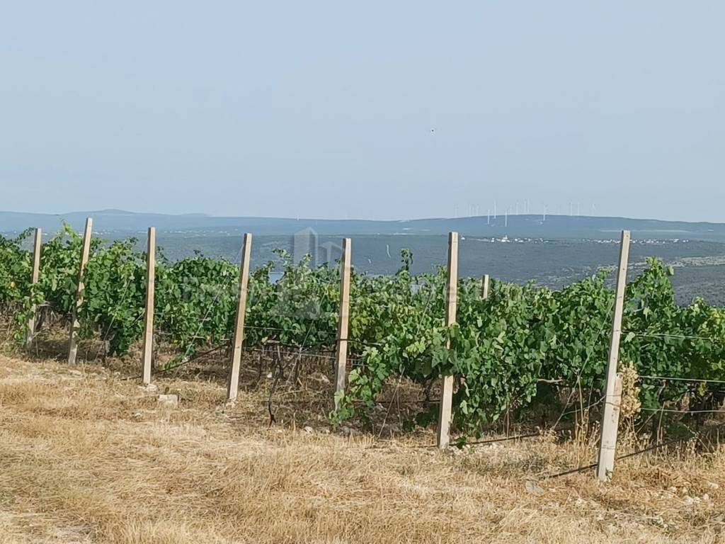 Poljoprivredno zemljište, Prodaja, Posedarje, Posedarje