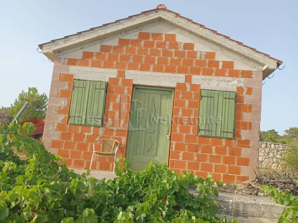 Poljoprivredno zemljište, Prodaja, Posedarje, Posedarje