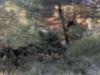 Građevinsko mješovito, Prodaja, Primošten, Primošten