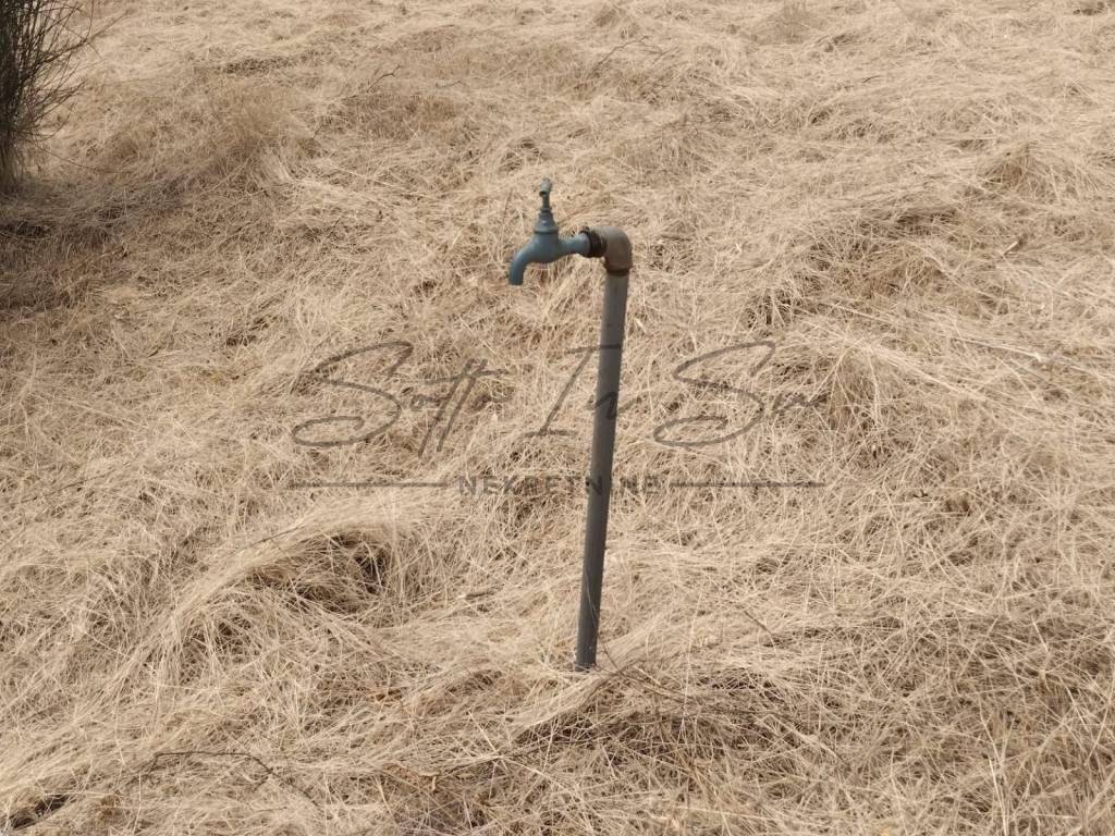 Poljoprivredno zemljište, Prodaja, Bol, Bol