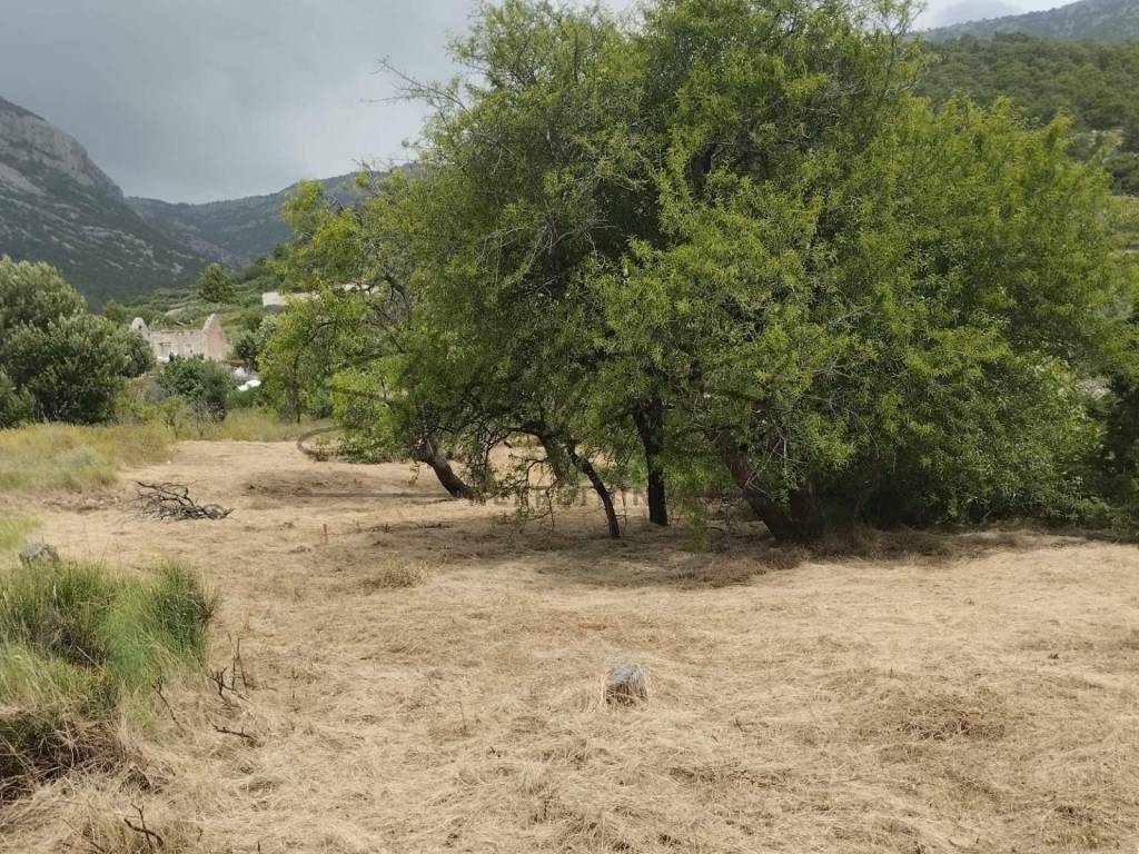 Poljoprivredno zemljište, Prodaja, Bol, Bol