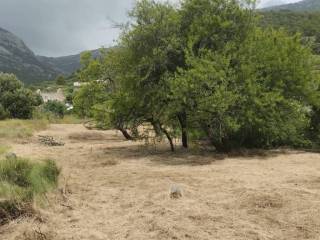 Poljoprivredno zemljište, Prodaja, Bol, Bol