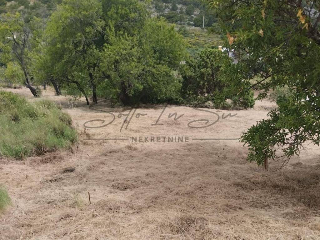 Poljoprivredno zemljište, Prodaja, Bol, Bol