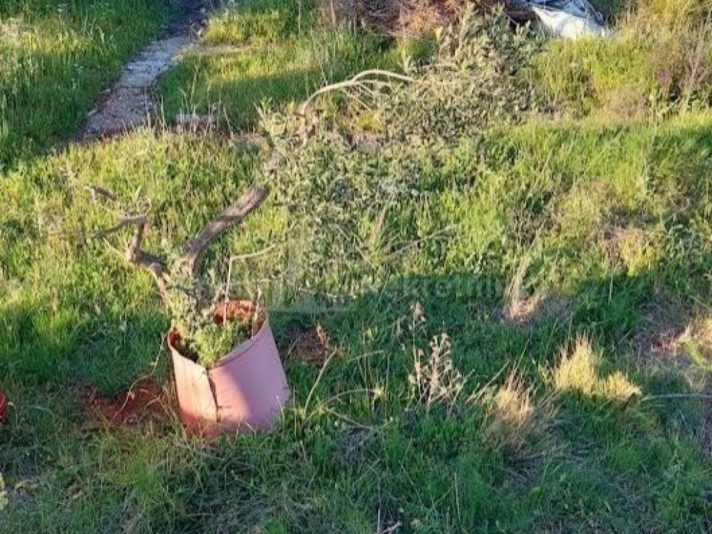 Građevinsko zemljište, Prodaja, Tribunj, Tribunj