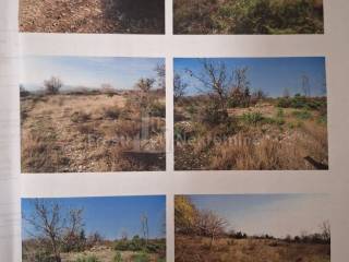 Građevinsko zemljište, Prodaja, Posedarje, Posedarje