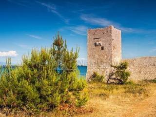 Poljoprivredno zemljište, Prodaja, Vir, Vir