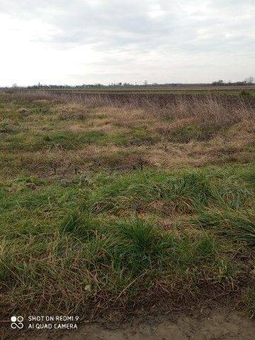 Poljoprivredno zemljište, Prodaja, Velika Gorica - Okolica, Velika Mlaka