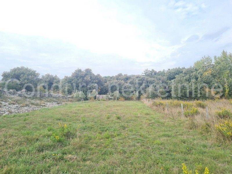 Poljoprivredno zemljište, Prodaja, Vir, Vir