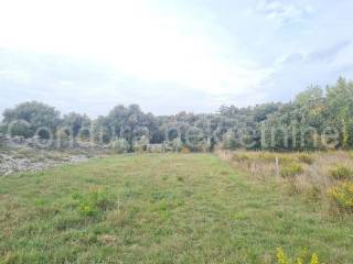 Poljoprivredno zemljište, Prodaja, Vir, Vir