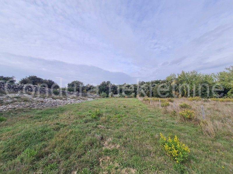 Poljoprivredno zemljište, Prodaja, Vir, Vir