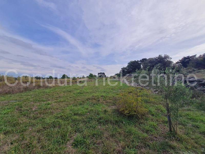 Poljoprivredno zemljište, Prodaja, Vir, Vir