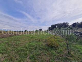 Poljoprivredno zemljište, Prodaja, Vir, Vir