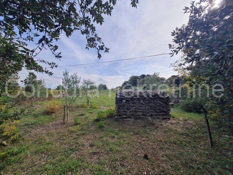 Poljoprivredno zemljište, Prodaja, Vir, Vir