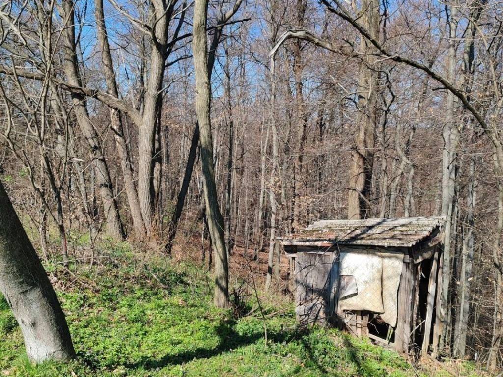 Vikend kuća, Prodaja, Selnica, Praporčan