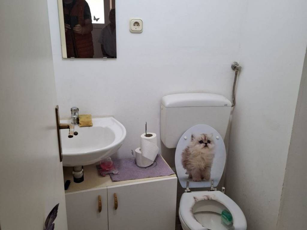 Kuća prizemnica, Prodaja, Gornji mihaljevec, Badličan