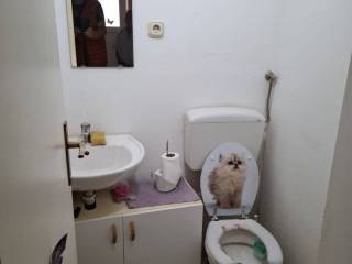 Kuća prizemnica, Prodaja, Gornji mihaljevec, Badličan