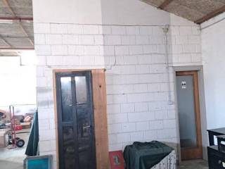 Hala, Prodaja, Pribislavec, Pribislavec