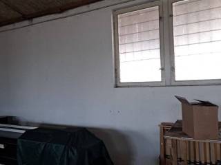 Hala, Prodaja, Pribislavec, Pribislavec