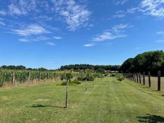 Obiteljska kuća, Prodaja, Sveti Juraj na Bregu, Brezje