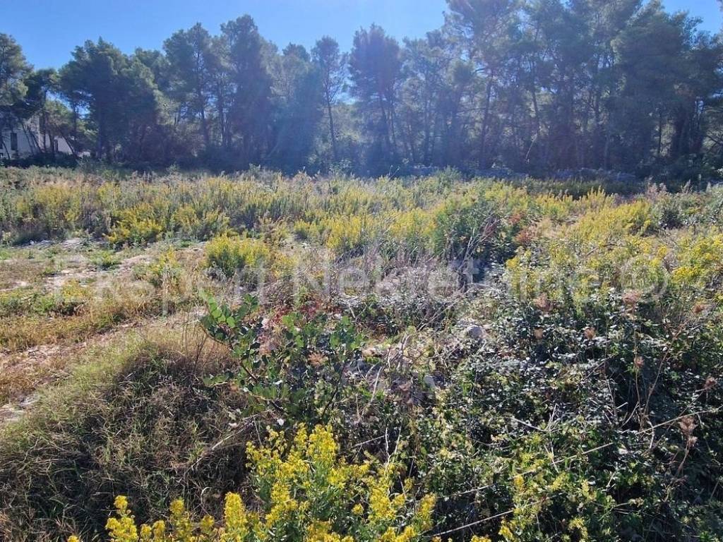 Građevinsko zemljište, Prodaja, Okrug, Okrug Gornji