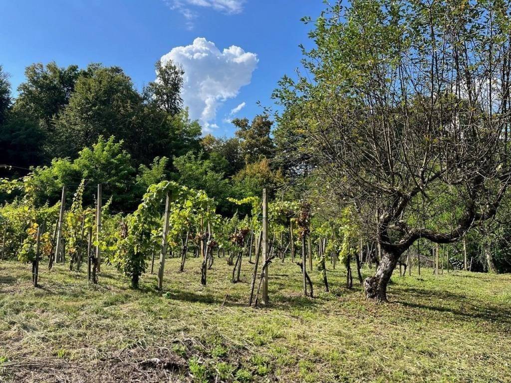 Kuća prizemnica, Prodaja, Štrigova, Grabrovnik