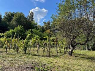 Kuća prizemnica, Prodaja, Štrigova, Grabrovnik