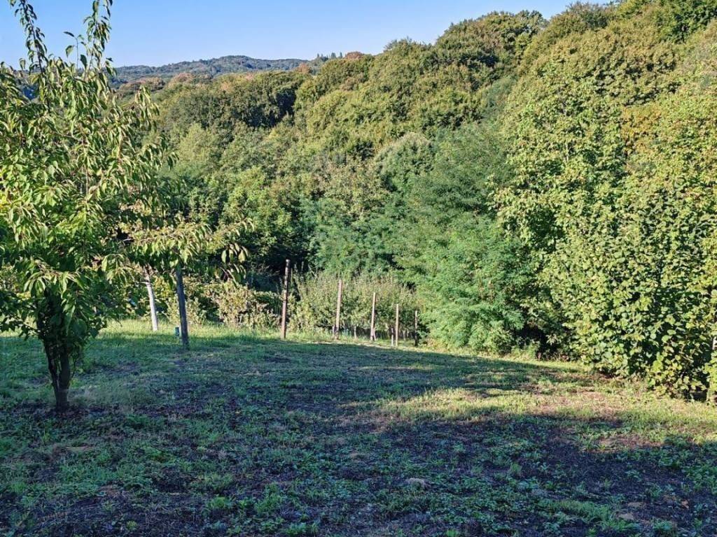 Vikend kuća, Prodaja, Selnica, Zaveščak