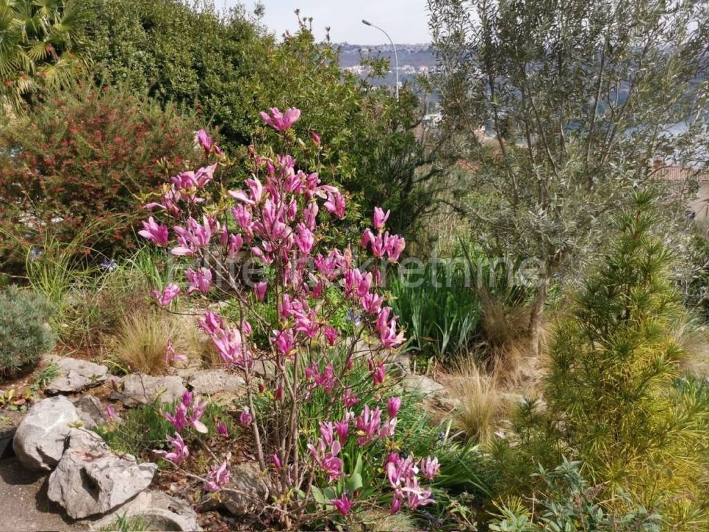 Stan u kući, Najam, Opatija, Opatija