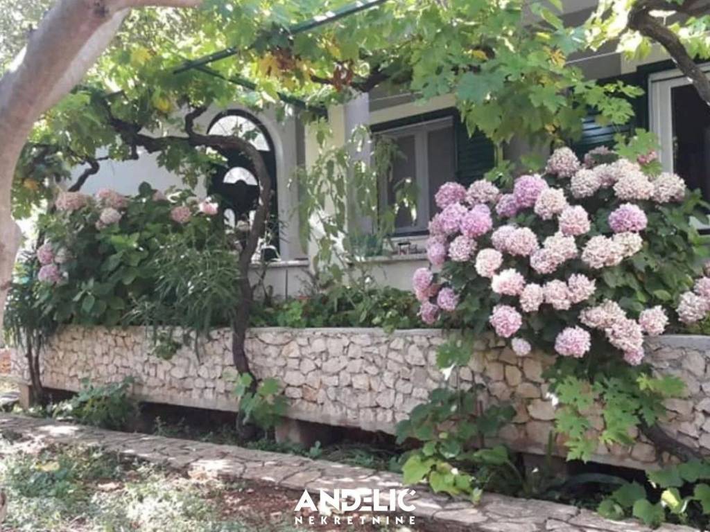 Samostojeća kuća, Prodaja, Okrug, Okrug Donji