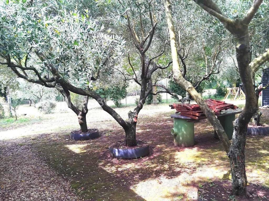 Zemljište - ostalo, Prodaja, Medulin, Banjole