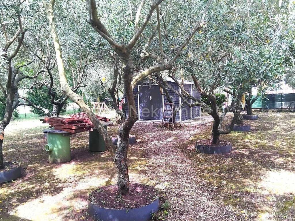 Zemljište - ostalo, Prodaja, Medulin, Banjole