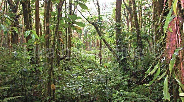 šuma i poljoprivredno, Prodaja, Plitvička jezera, Ličko Petrovo Selo